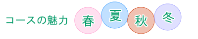 コースの魅力